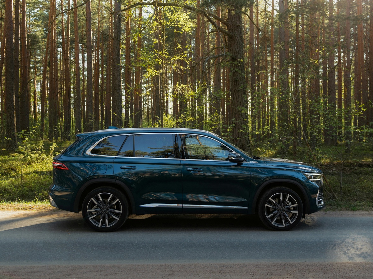 Una maleta en la vaca de un coche